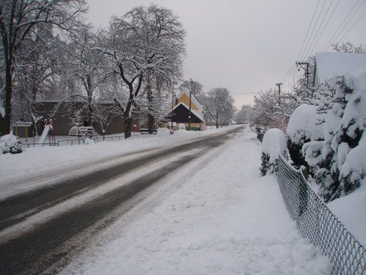 zima 2010 (3).JPG