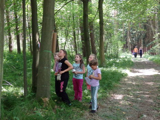 křížek 079.jpg