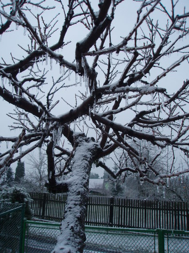 litošice 15.12.2014 004.jpg