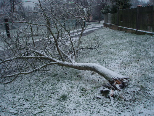 litošice 15.12.2014 006.jpg