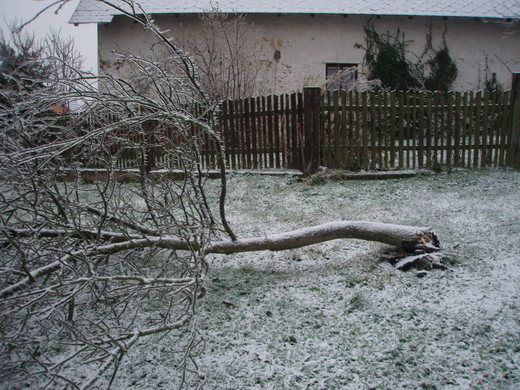 litošice 15.12.2014 007.jpg