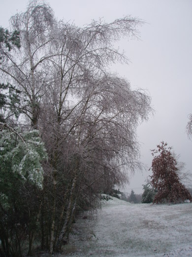 litošice 15.12.2014 008.jpg
