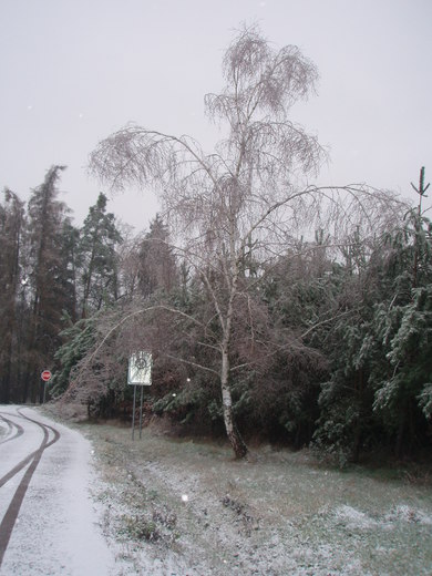 litošice 15.12.2014 009.jpg