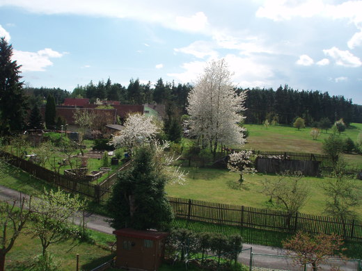 Litošice 2015 (20).jpg