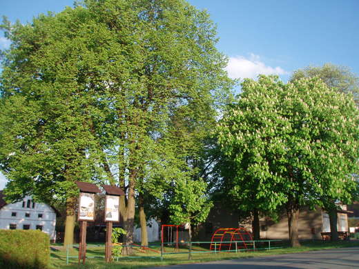 Litošice 2015 (29).jpg