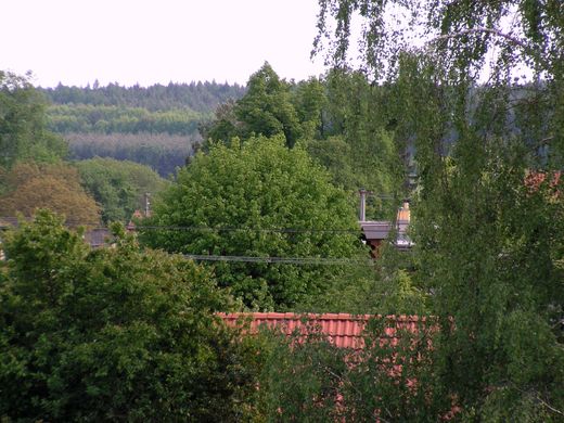 Litošice 2015 (35).JPG