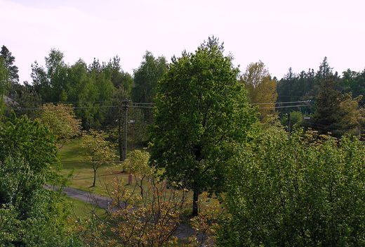 Litošice 2015 (37).JPG