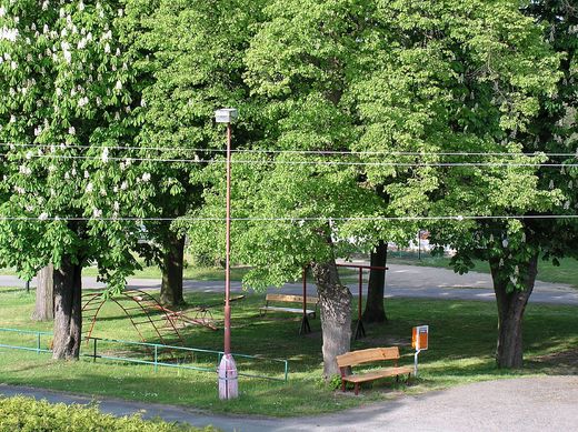 Litošice 2015 (41).JPG