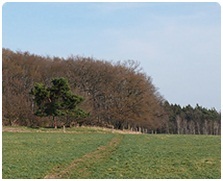 Skalka u Sovolusk