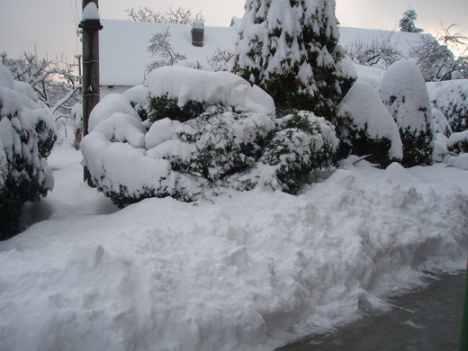 zima 2010 (1).JPG