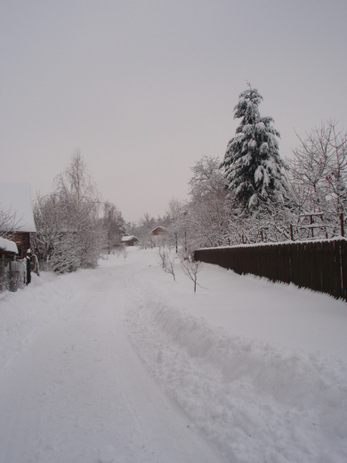 zima 2010 (4).JPG
