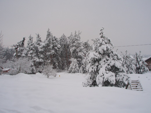 zima 2010 (5).JPG