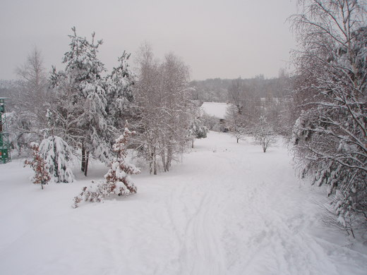 zima 2010 (6).JPG