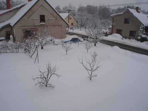 zima 2010 (8).JPG
