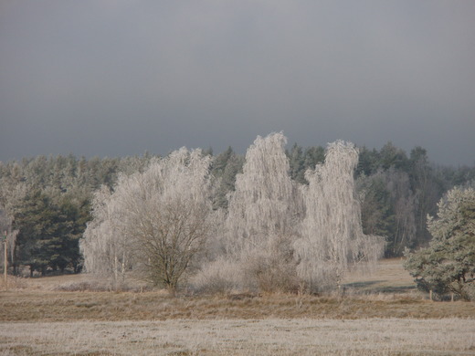 zima v Litošicích (16).JPG