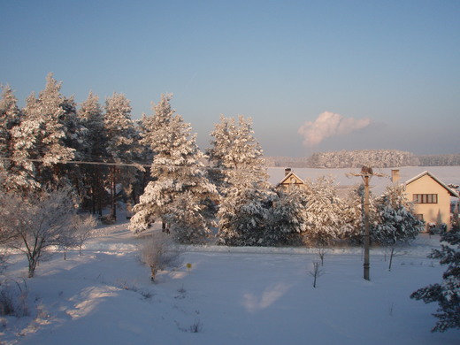 zima v Litošicích (4).JPG