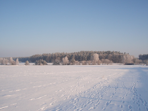 zima v Litošicích (6).JPG
